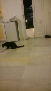 0728　最強の変態技「略奪営業」その１　２